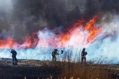 Wildfire Smoke Might Harm Children's Mental Health